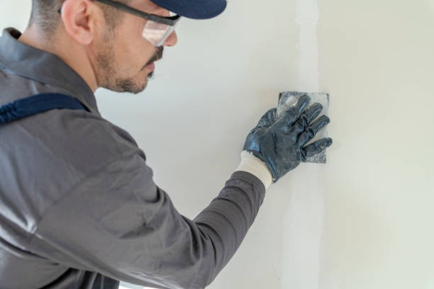Best Mold Prevention Services  in Browns Lake, WI