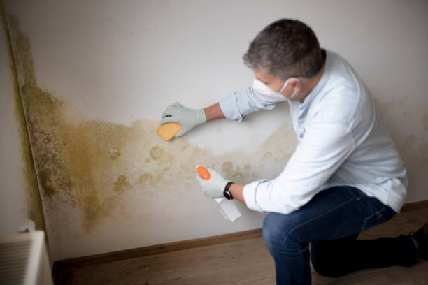 Best Biohazard Mold Removal  in Browns Lake, WI