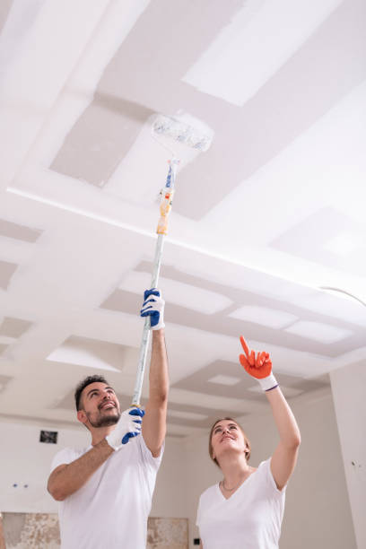 Best Mold Removal for HVAC Installations  in Browns Lake, WI