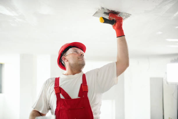 Best Environmental Consulting for Mold Prevention  in Browns Lake, WI