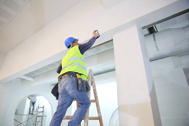 Best Black Mold Removal  in Browns Lake, WI
