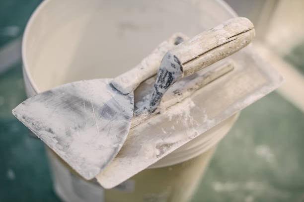 Best Emergency Mold Remediation  in Browns Lake, WI